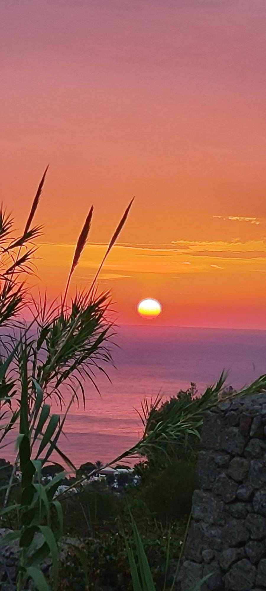 Villa Antonietta Ischia Esterno foto