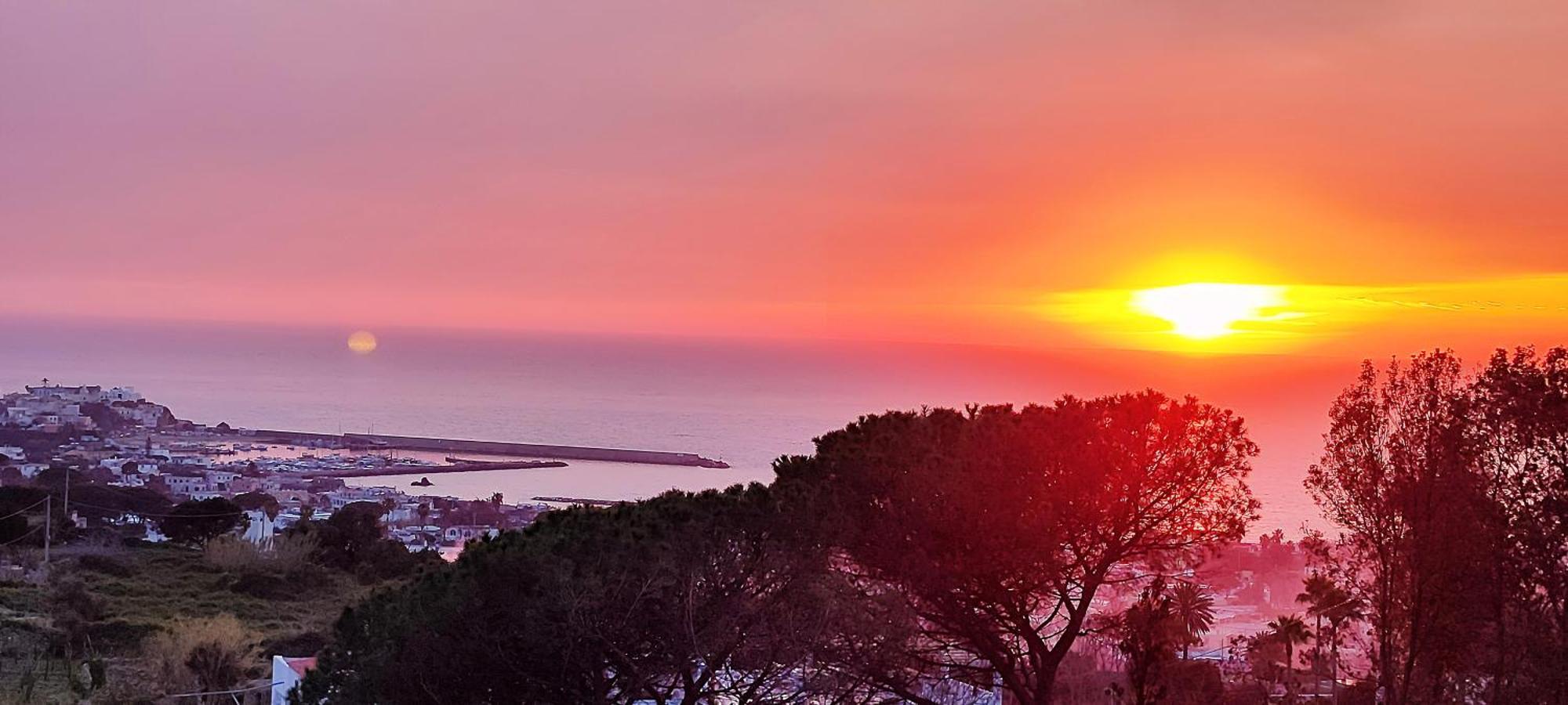 Villa Antonietta Ischia Esterno foto