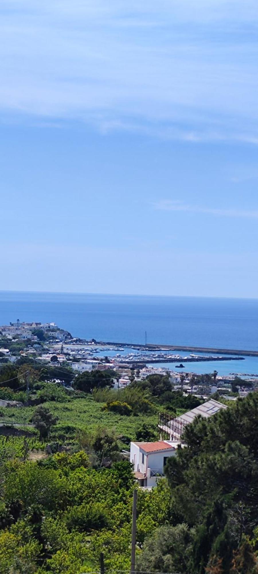 Villa Antonietta Ischia Esterno foto